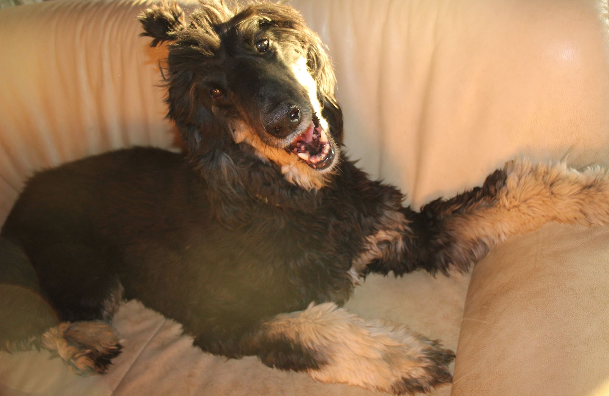 108102119 835654600298193 3287380188268810074 n