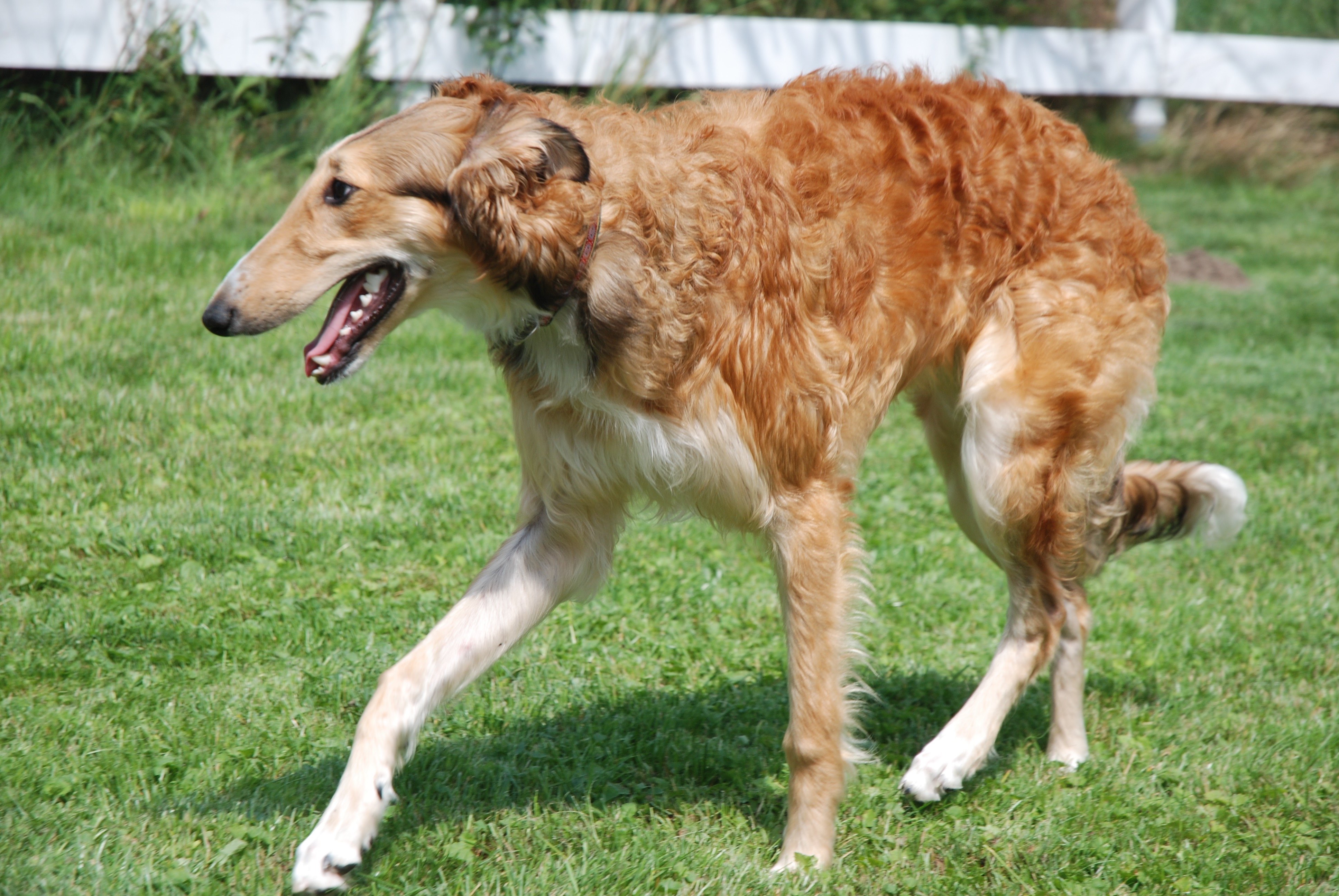 109891551 615567992716172 3450353910497560435 n