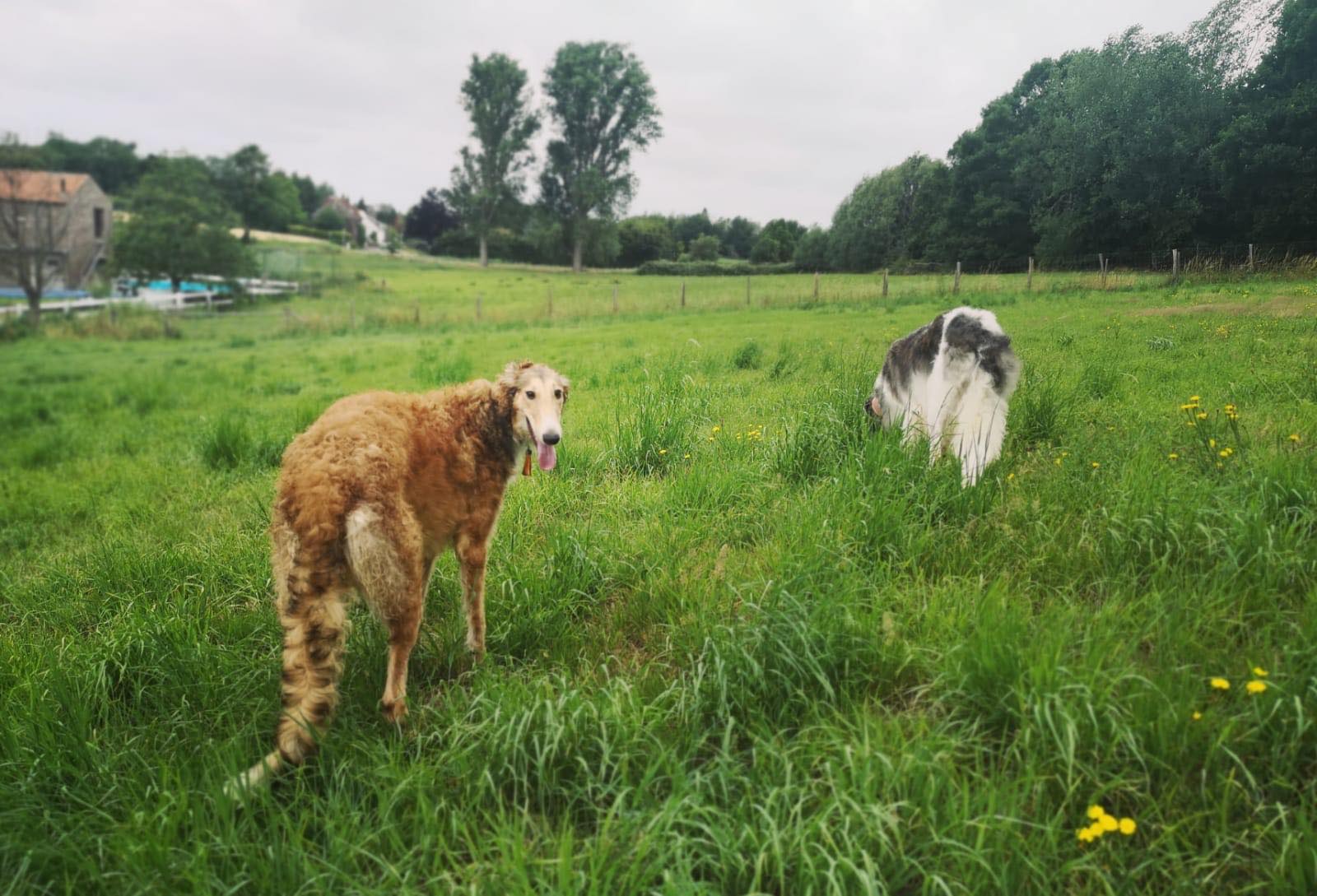 110277729 598016454251989 3650578265416247128 n