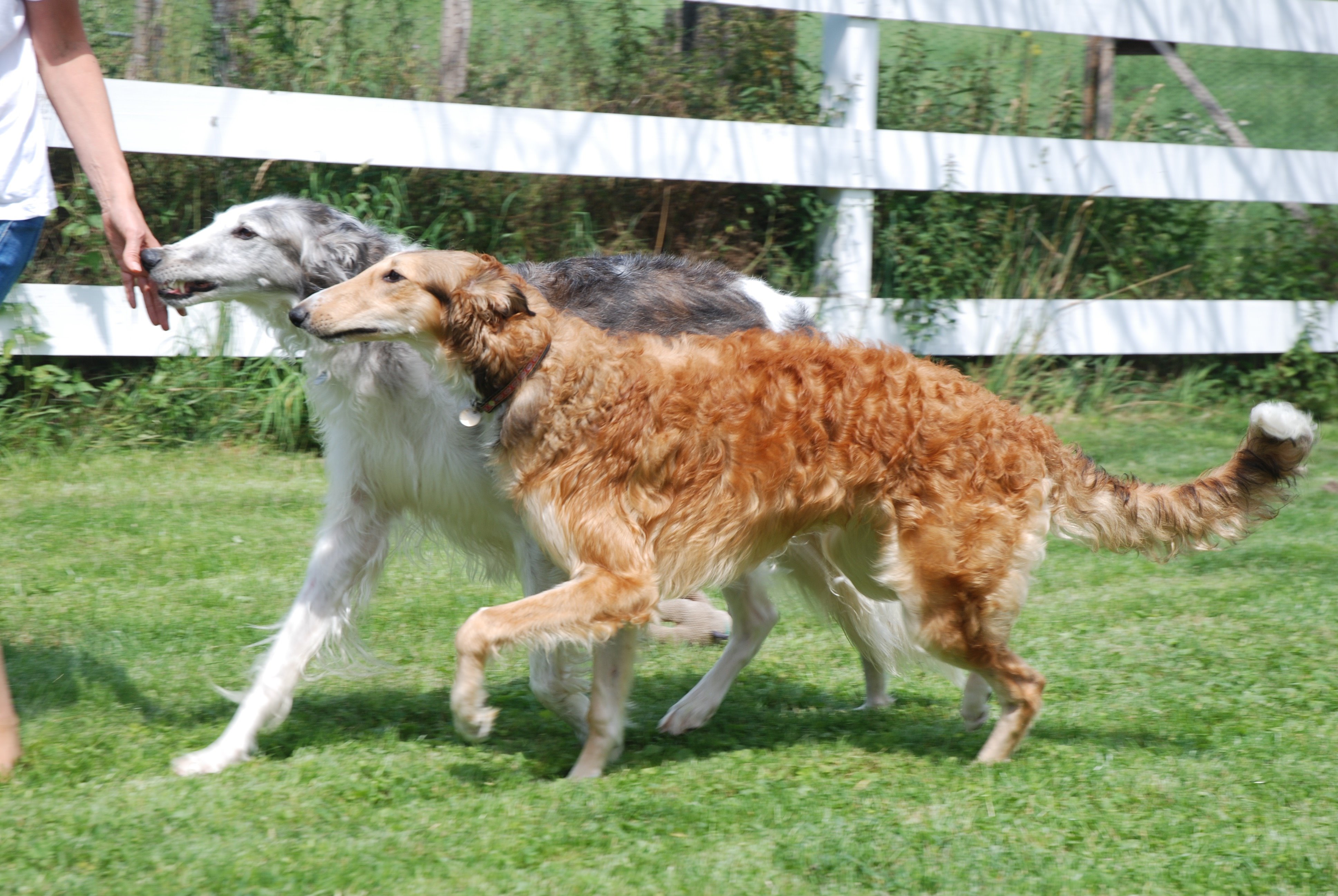 113688386 4027593490649337 8793106791271319377 n