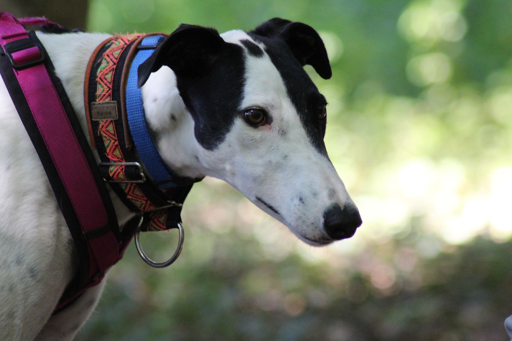 117286301 322893949090384 1729390700299915228 n