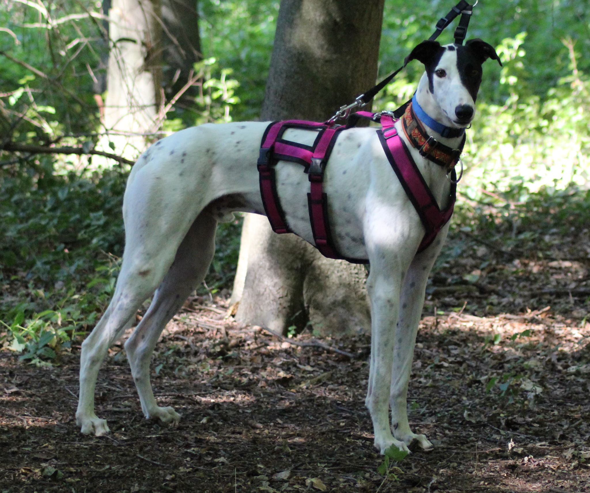 117298916 403184467322715 6931622396398532563 n