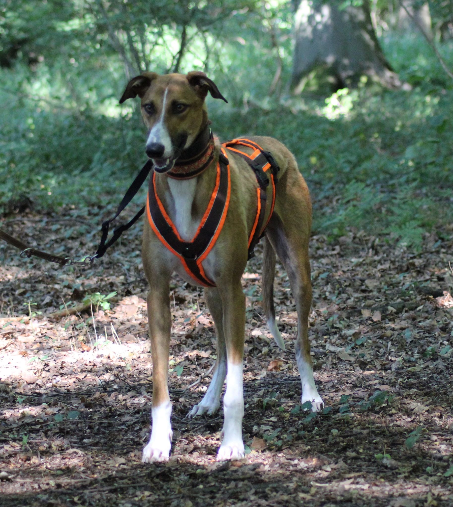 117342708 907085983113422 9120911861062441955 n