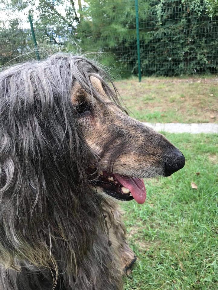 117907629 660280064594098 8112770551567009866 n