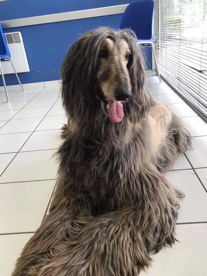 117924877 660280017927436 344444470962462512 n