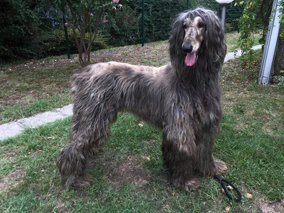 117942066 660280197927418 1073794164339613708 n