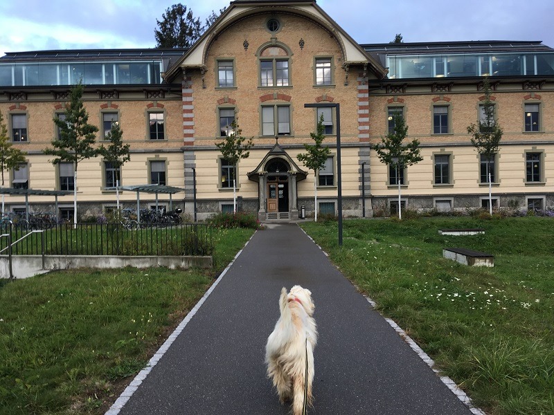 117963265 4264657526939204 6561394305445080618 n