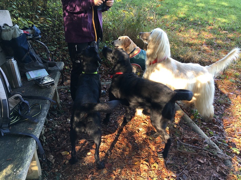 117964356 4264660346938922 8294259298322553065 n