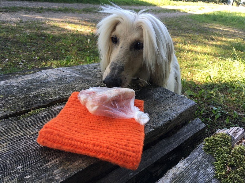 117969470 4264658083605815 4755022788054734962 n