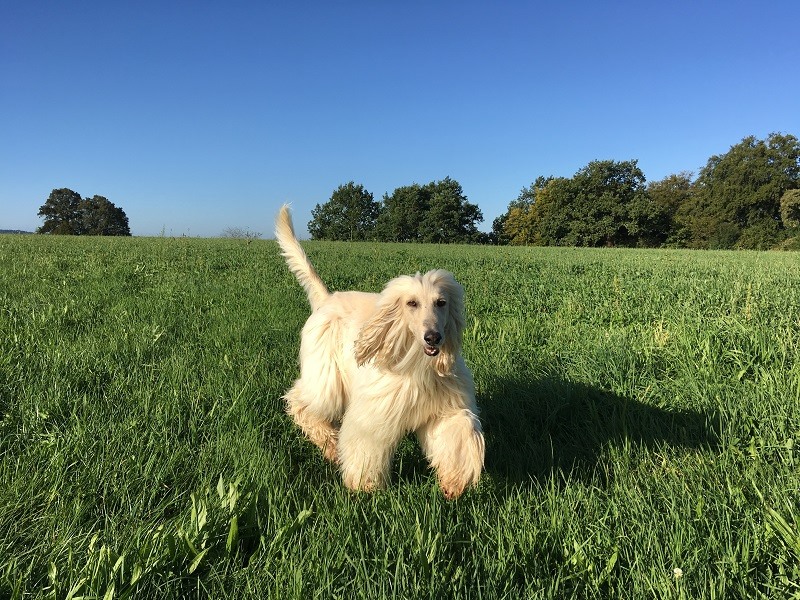 117970686 4264659406939016 1183444366914145569 n