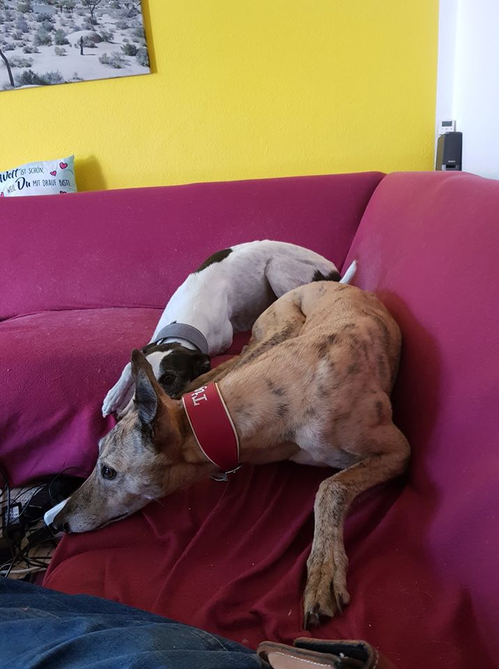 118026092 4269993943072229 179955408803828920 o