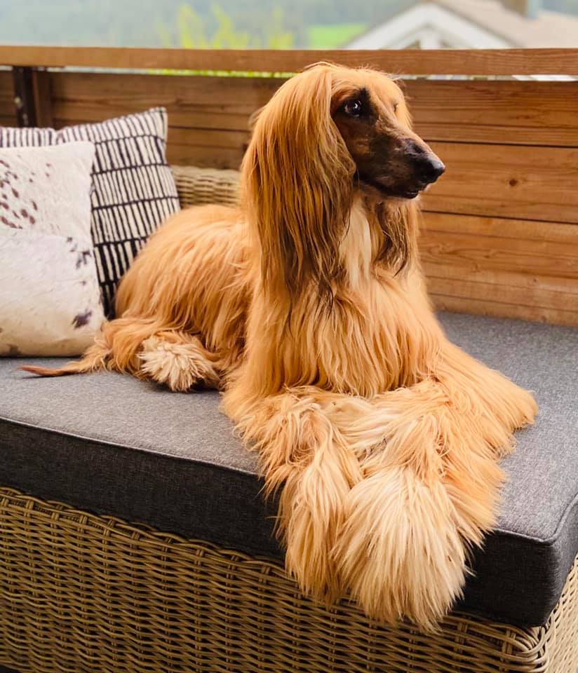 119223823 3531311783585520 2057600074920889128 n