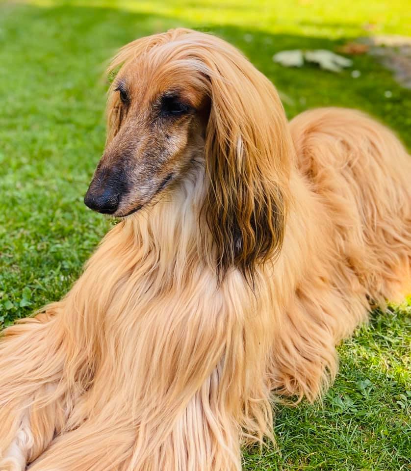 119240855 3531312023585496 8776937583631241463 n