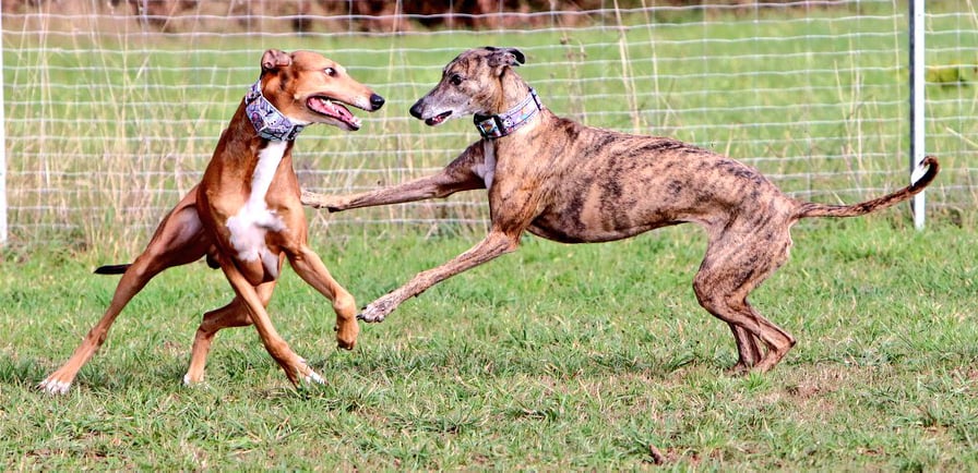 122327579 927879644403144 309719574159409633 n