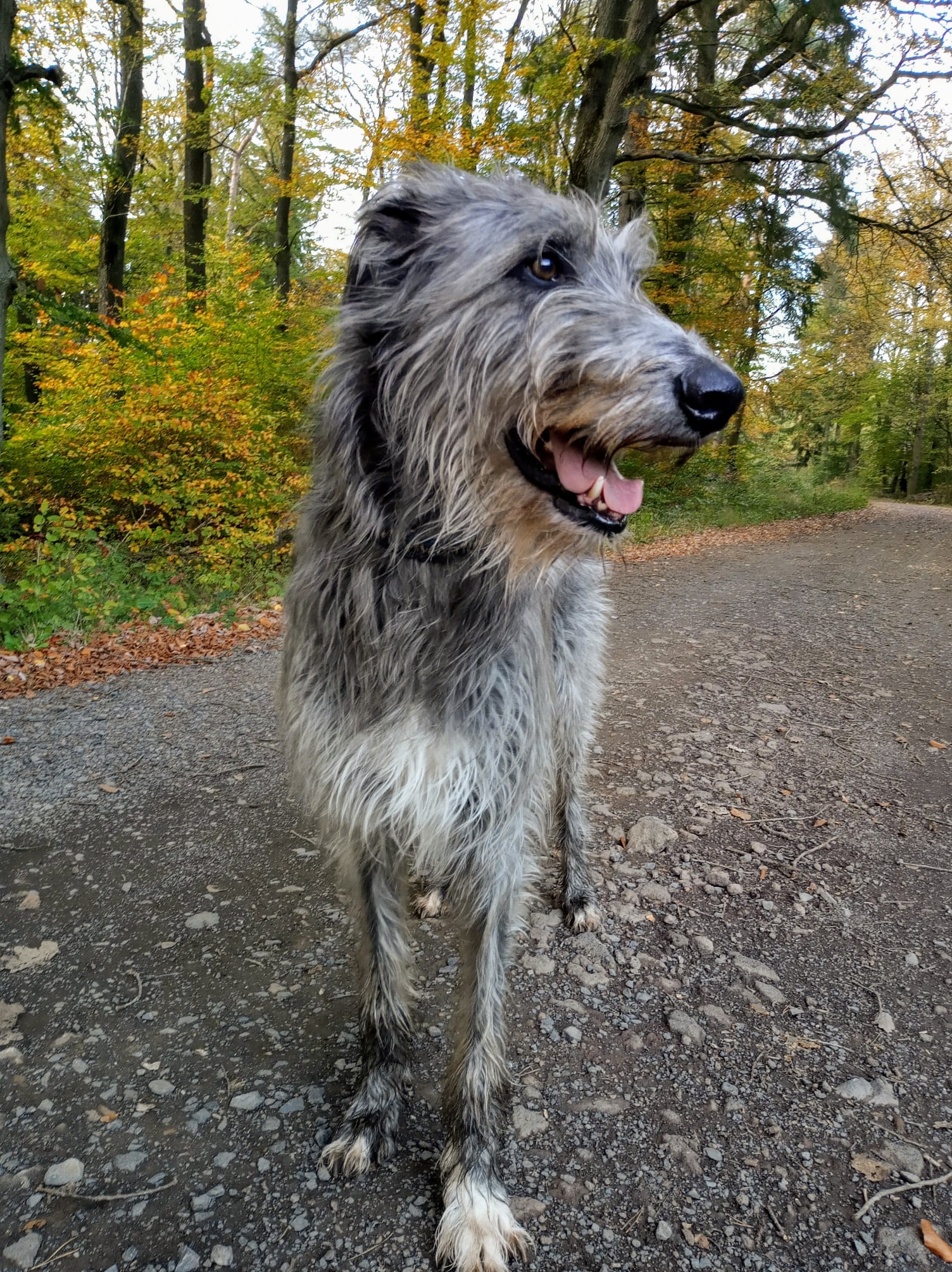 123858045 4666752103396409 225134984390111959 o