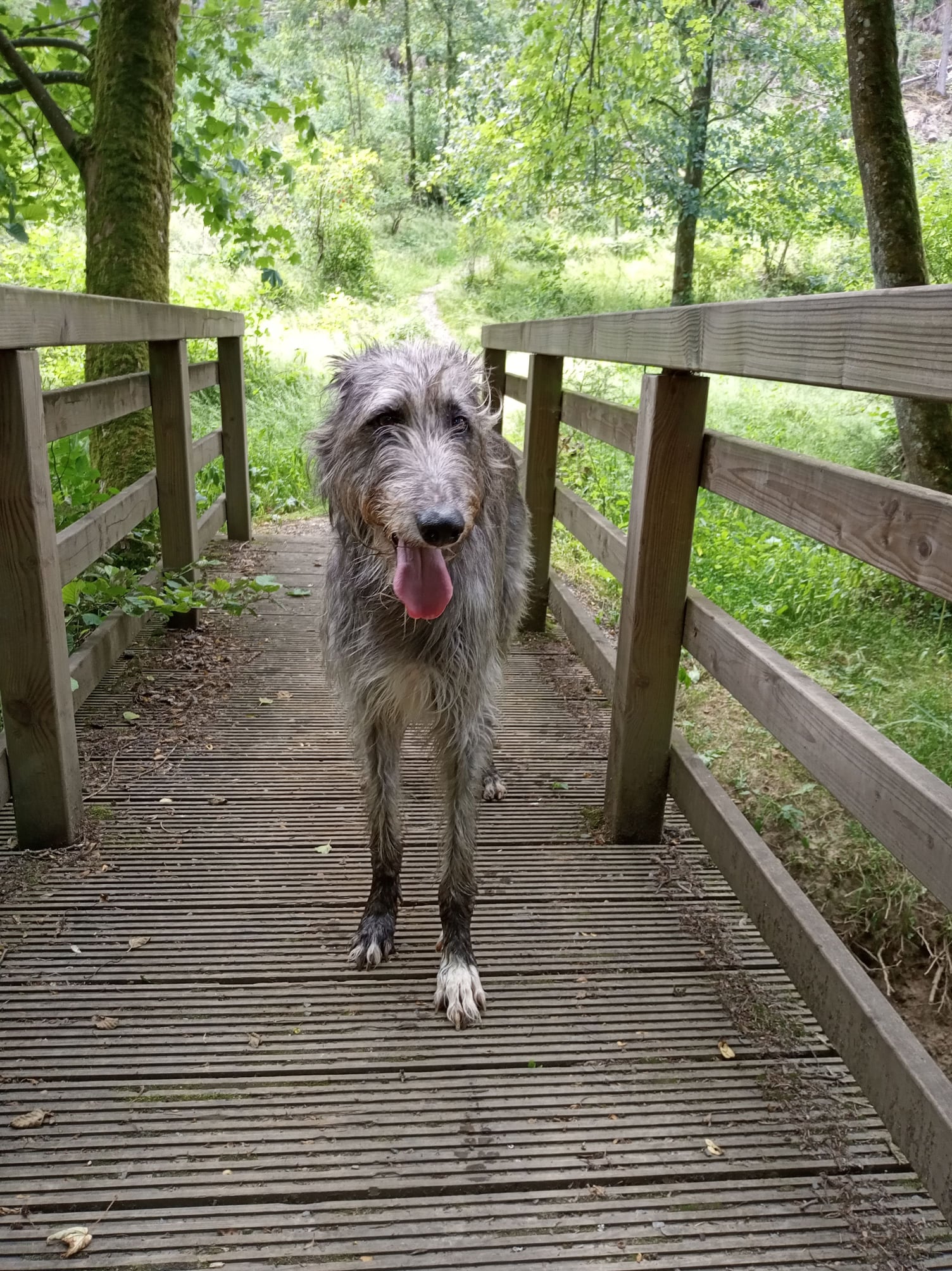 123912880 4666752640063022 4369526476667590234 o