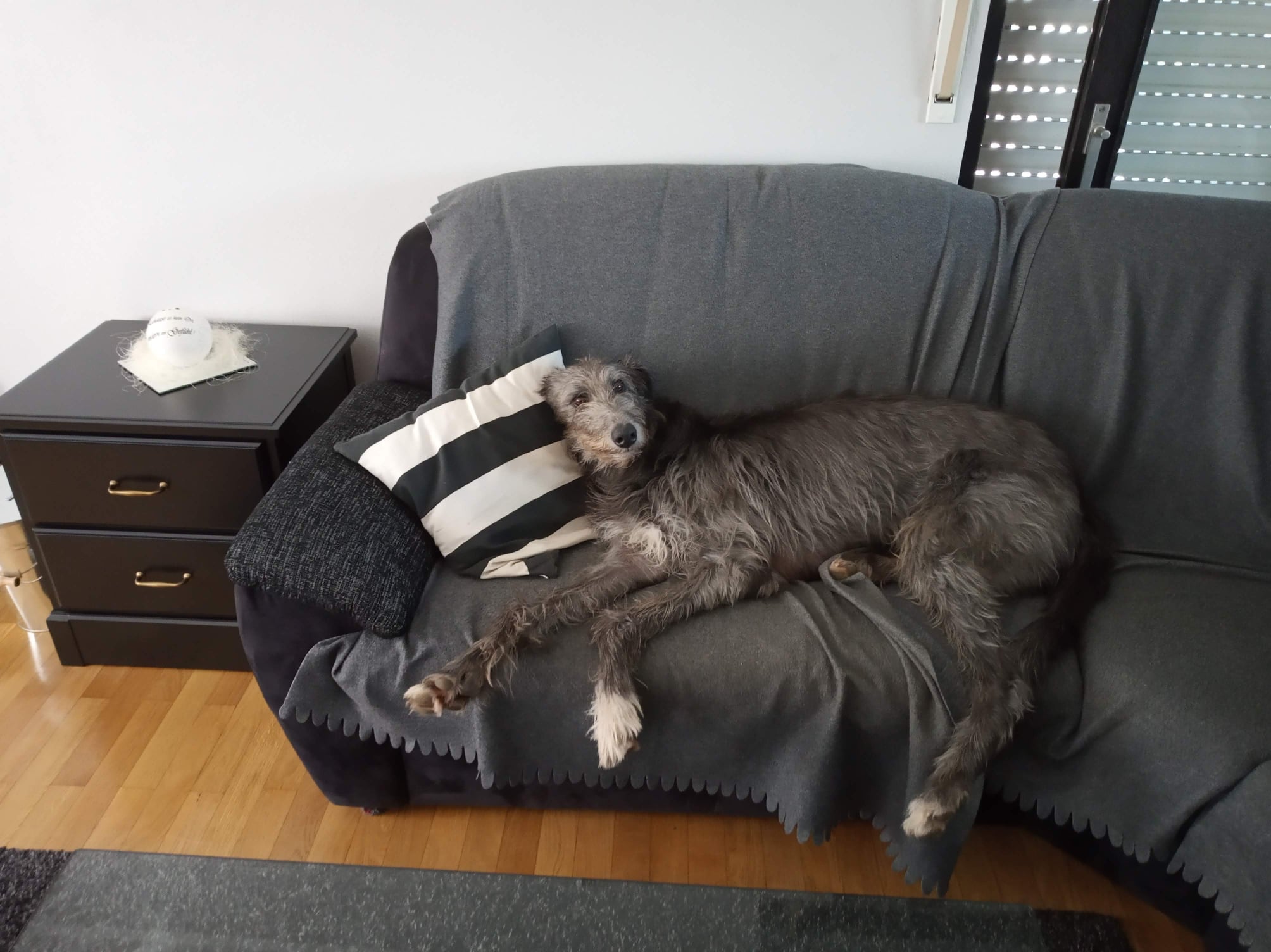 123913866 4666751716729781 5899585020412631265 o