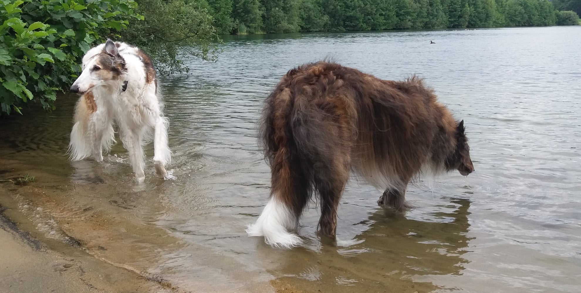 126806517 4724737894264496 5173123767375231145 o