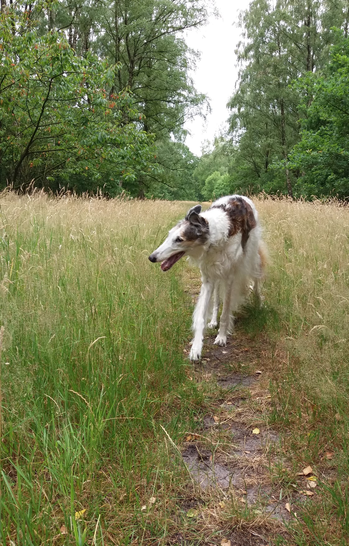 126984917 4724738694264416 5698948745144003808 o