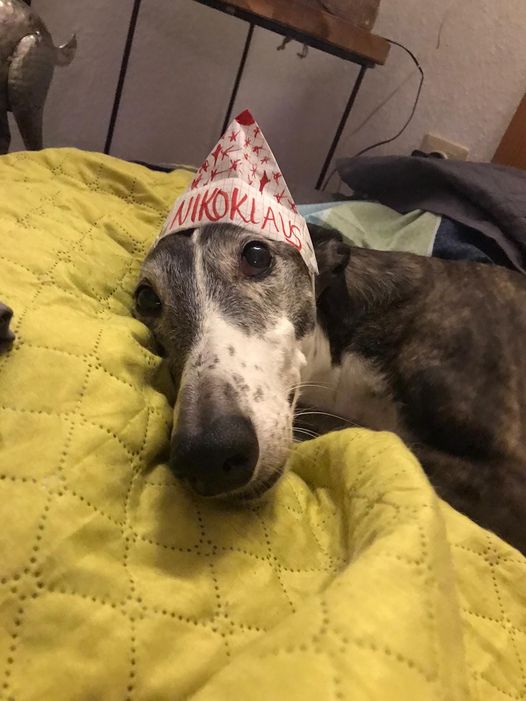 131981984 3657555994290162 6525509918520997345 o