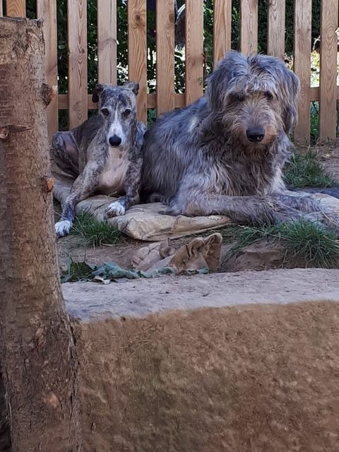 132369453 215301380312949 1144230797218142283 n