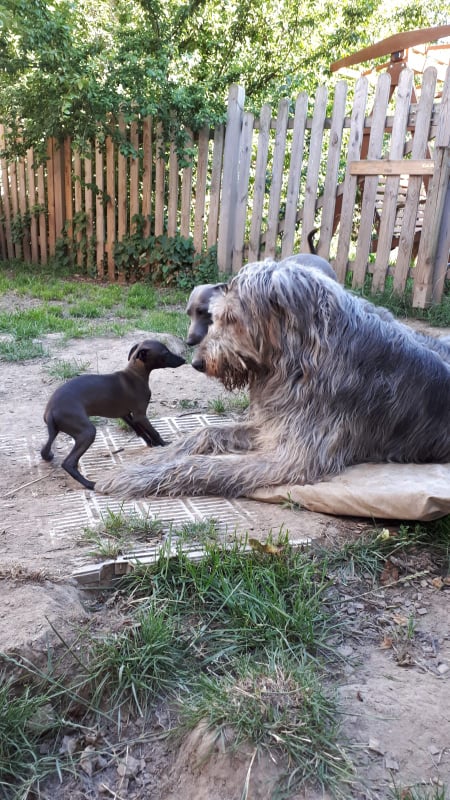 132402875 1084694795277681 161283675559896102 n