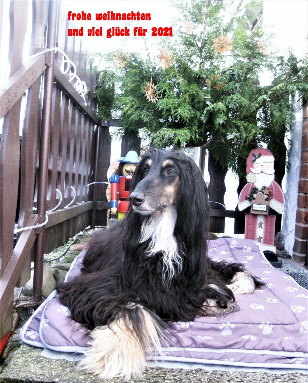 132590562 146497477262209 1539088500773930072 n