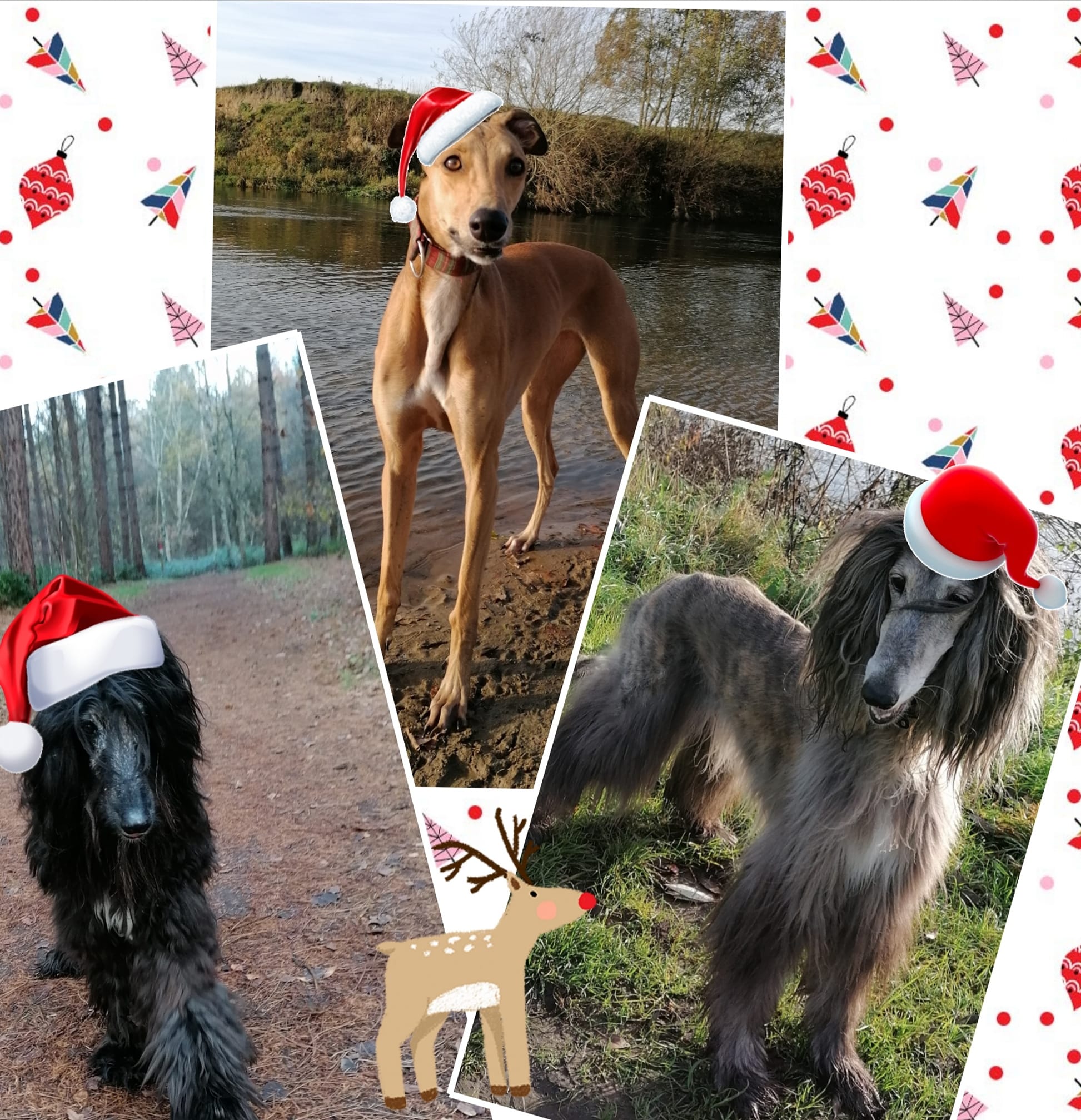 132623211 3591474480921140 1090681224446750978 o