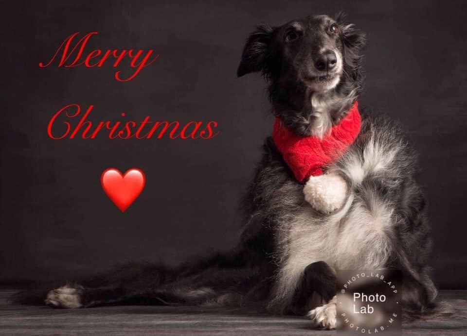 133116981 2772272686348005 9045424769414700092 n