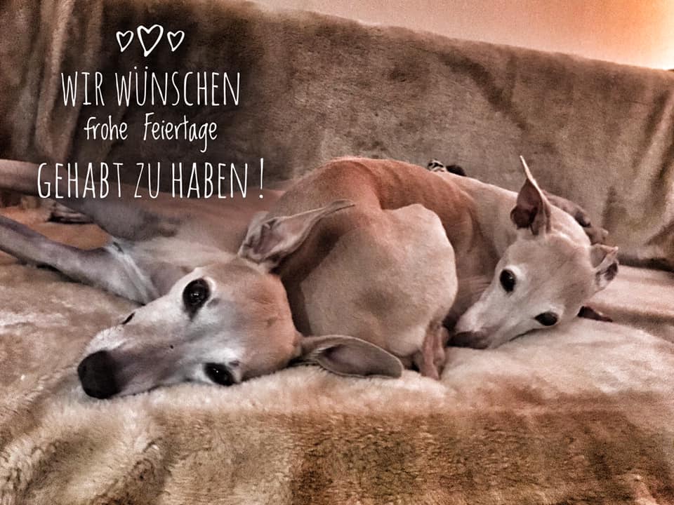 133354716 1827404140740719 1001782966046774021 n