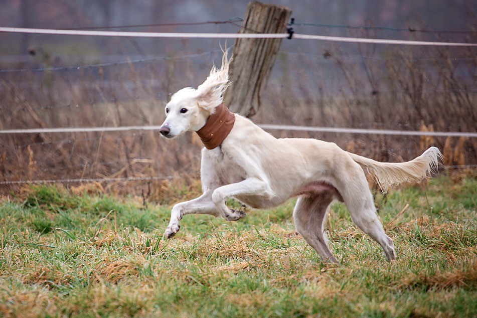 155226196 443328960444322 6119230630943587601 n