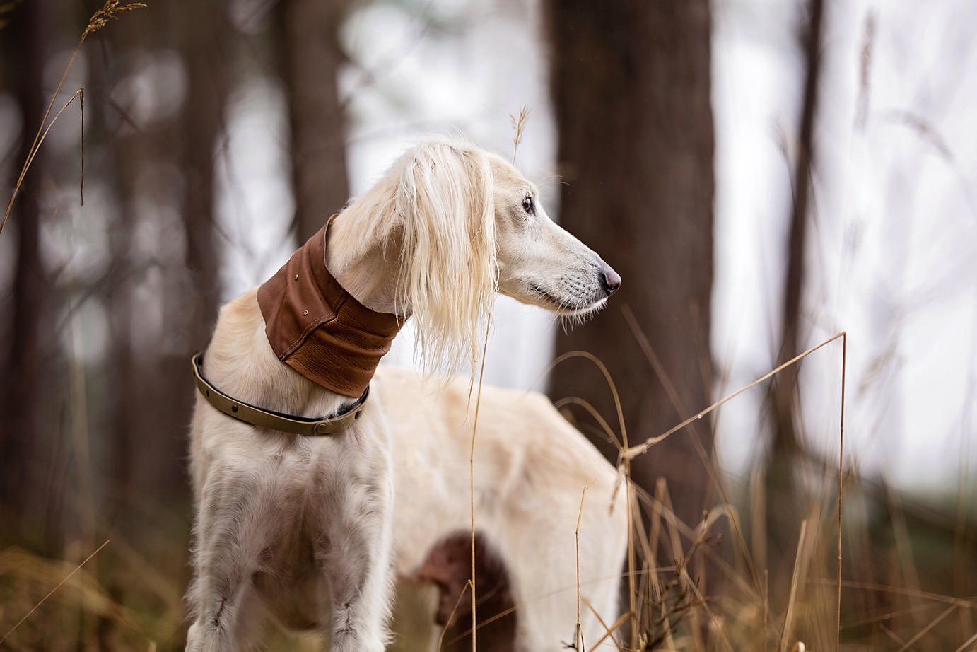 155284520 232949421896390 8865632823761138434 n