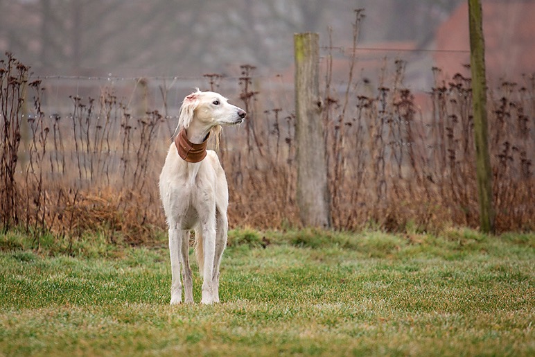 155294269 334790191281968 810572982879899476 n