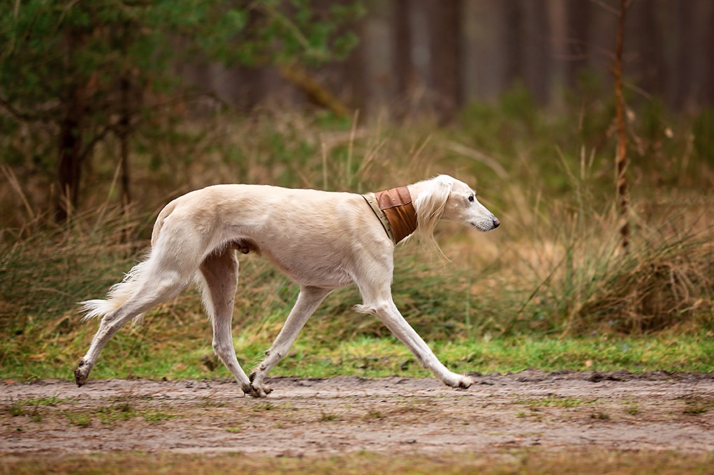 155328319 512291906828959 2573961000773641400 n