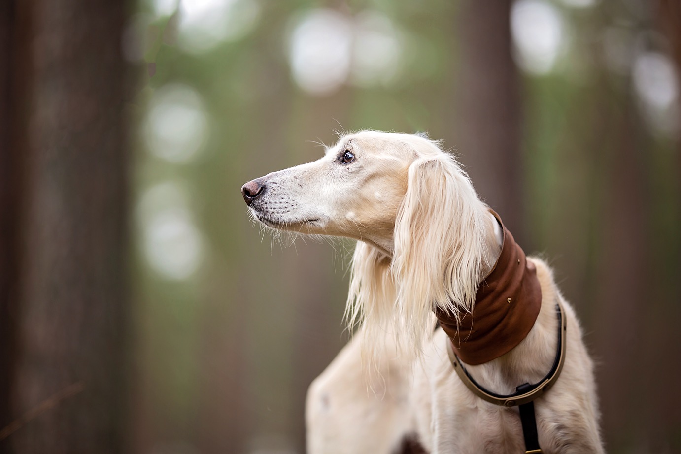 155420731 2881624468765619 4871916330732460787 n