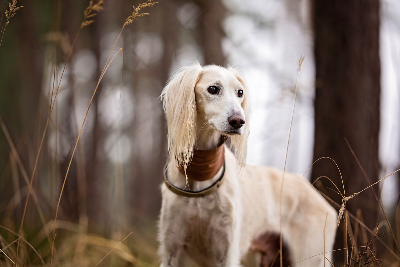 155448132 264770275212648 5023317481848083247 n