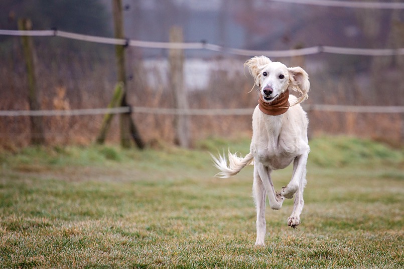 155483199 438675394077881 9090129587228122341 n