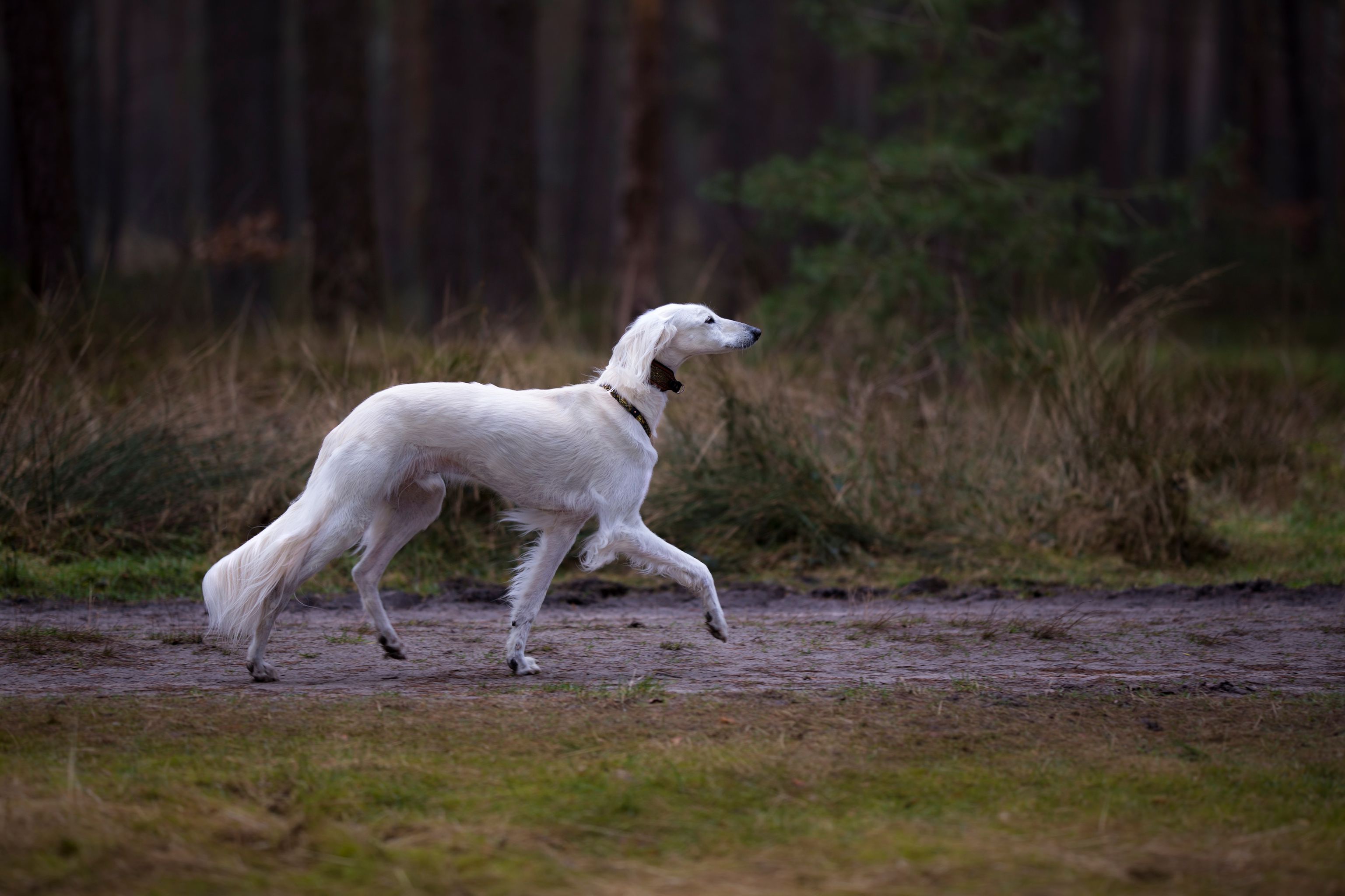 160497286 3002223503353309 8141335221805789033 n