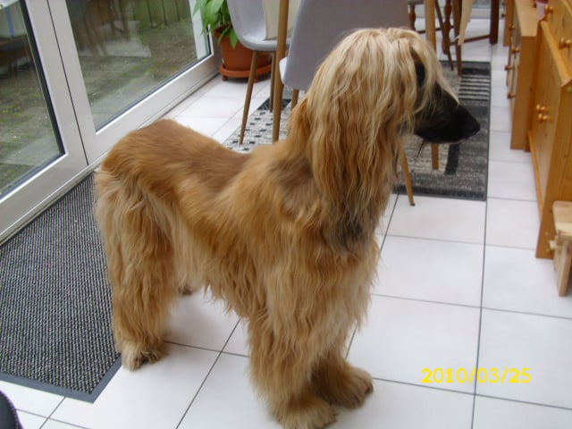 162075194 3878882845509569 2010156032840427422 n