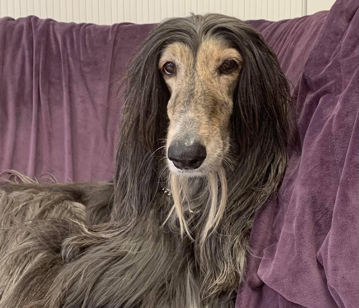 162977027 191147702810349 1077966245589882355 n