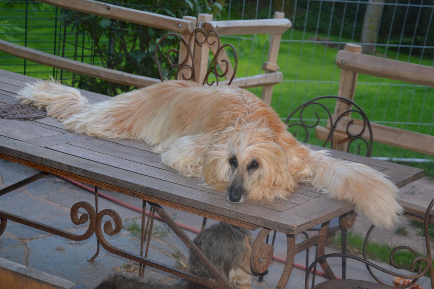 169403572 6029402847085796 7568407713992791629 n