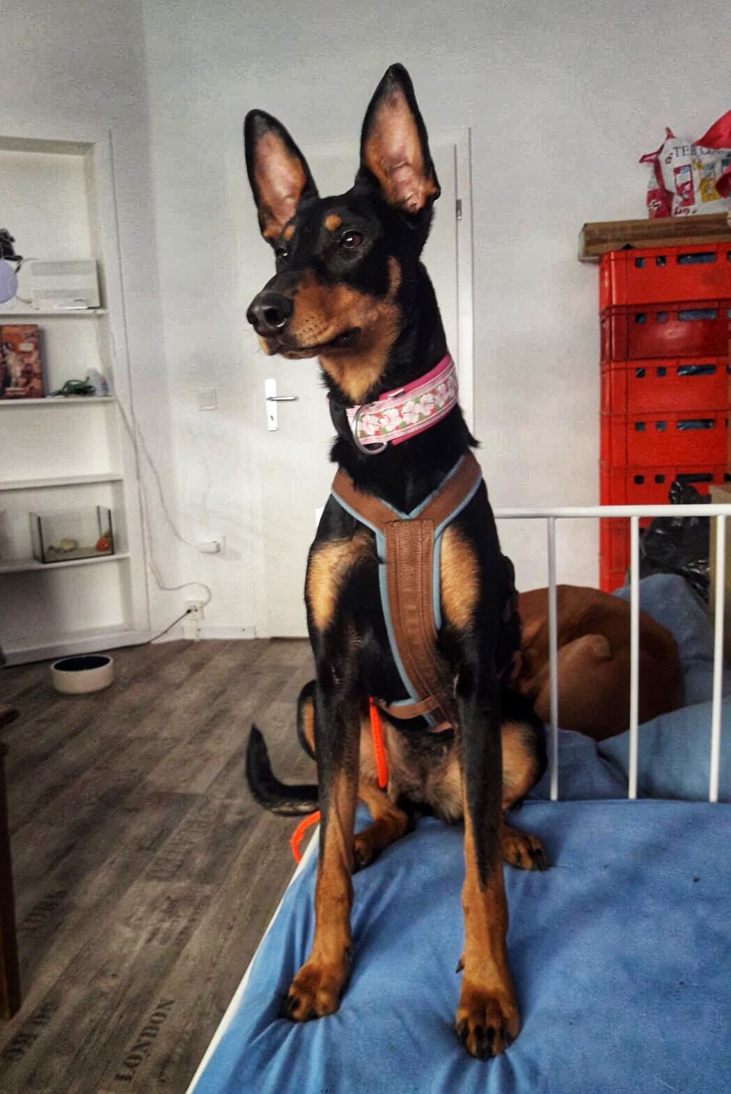 184332993 107897884710972 1764162034798845995 n