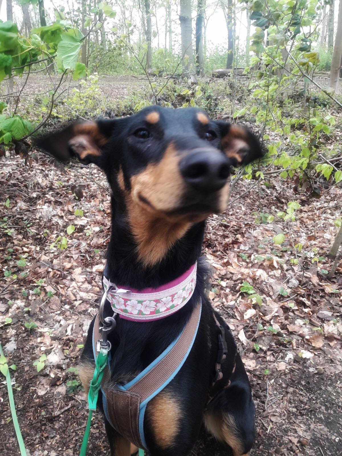 184356925 1353850068330999 5480618993660036631 n