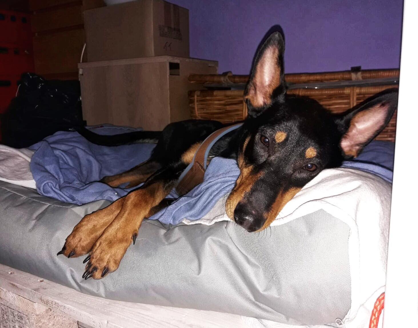 184357061 240499277850080 3551882211150513230 n