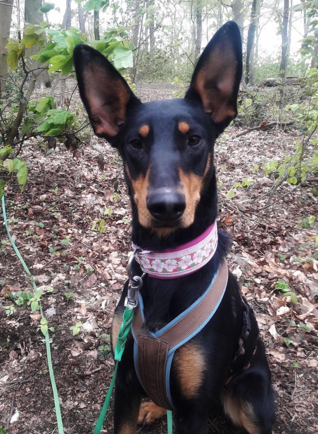 184580127 170587134870086 1483510518128058182 n