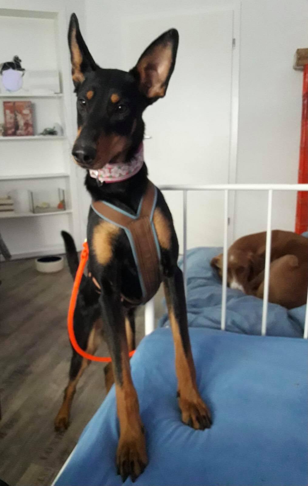 184629526 1880331225467800 6786089729670048663 n