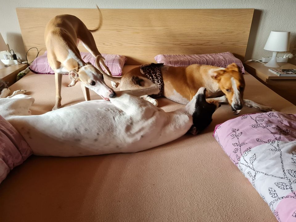 191292839 5569970743074536 2651782369955667326 n