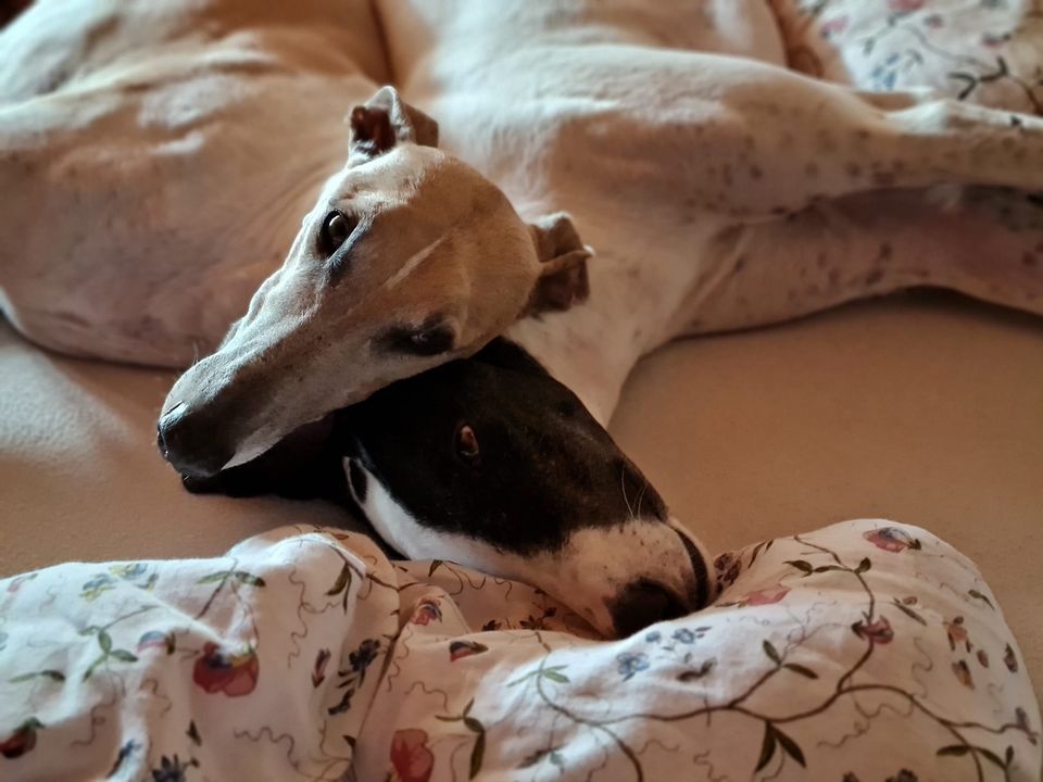 191303600 5569970266407917 4345498457222478815 n