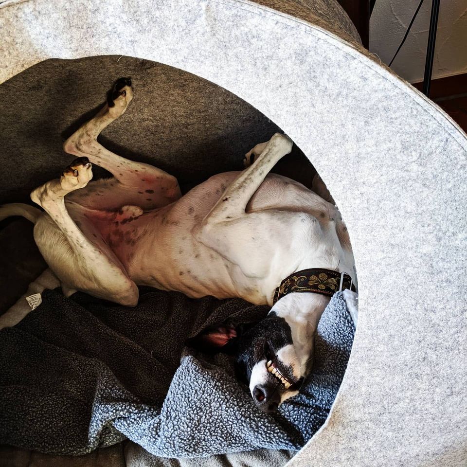 191366814 5569968146408129 7205440328130591193 n