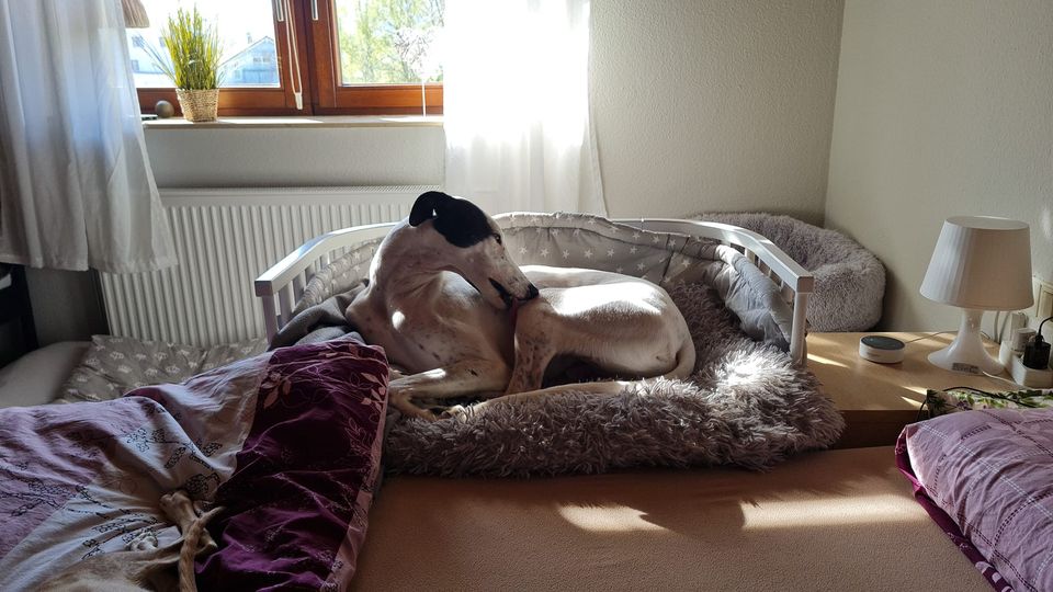 191681026 5569969343074676 1622384309502873732 n